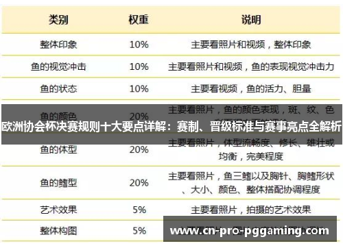 欧洲协会杯决赛规则十大要点详解：赛制、晋级标准与赛事亮点全解析