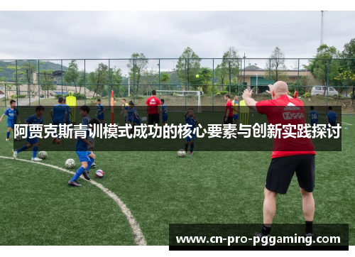 阿贾克斯青训模式成功的核心要素与创新实践探讨