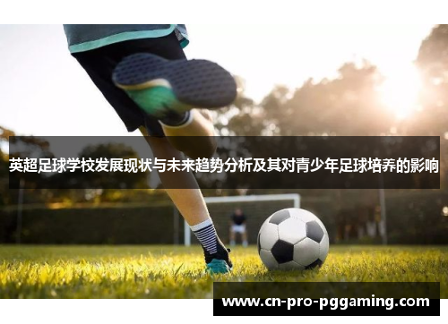 英超足球学校发展现状与未来趋势分析及其对青少年足球培养的影响