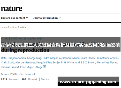 霍伊伦表现的三大关键因素解析及其对实际应用的深远影响