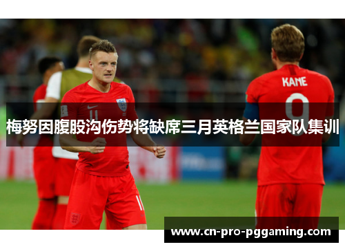 梅努因腹股沟伤势将缺席三月英格兰国家队集训