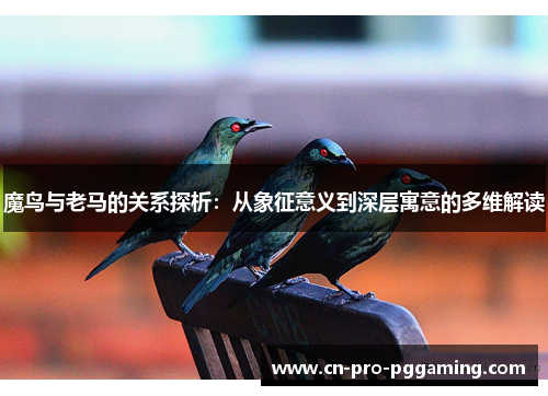 魔鸟与老马的关系探析：从象征意义到深层寓意的多维解读